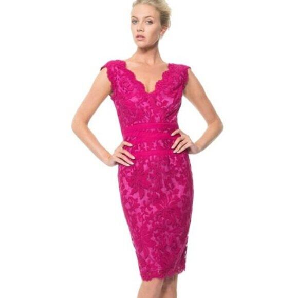 Tadashi Shoji Lotus Pink Embroidered Lace Banded Waist V Neck Dress Size 4 - Picture 1 of 10